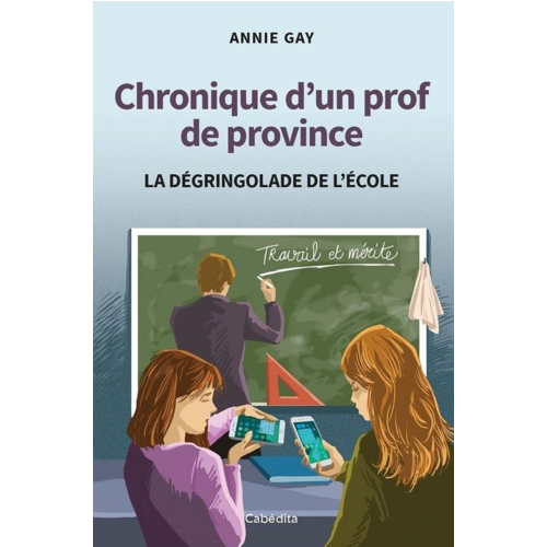 Livres régionaux - CHRONIQUE D'UN PROF DE PROVINCE - LA DEGRINGOLADE DE L'ECOLE